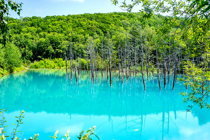 北海道・青い池