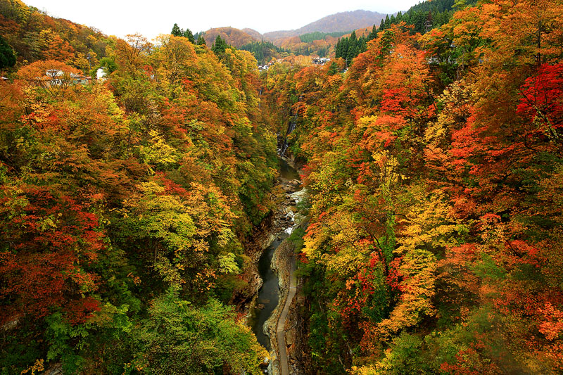 秋田県・小安峡の紅葉
