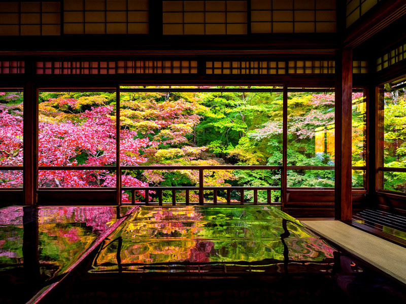 京都・瑠璃光院の紅葉